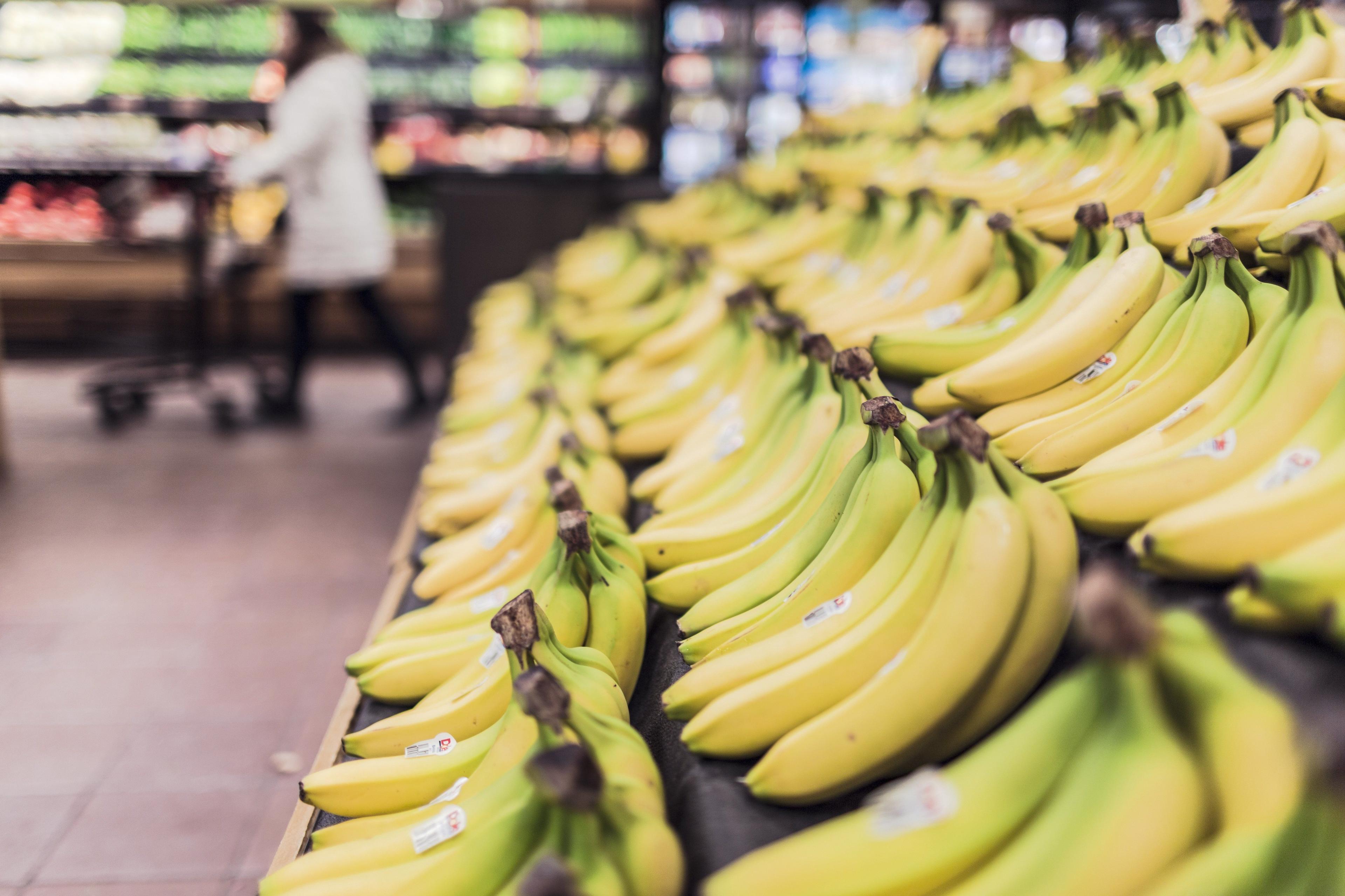 Rows of fresh yellow bananas displayed neatly in a grocery store's produce section.